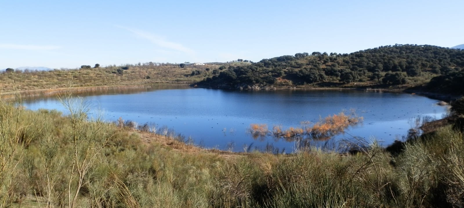 Las Lagunas