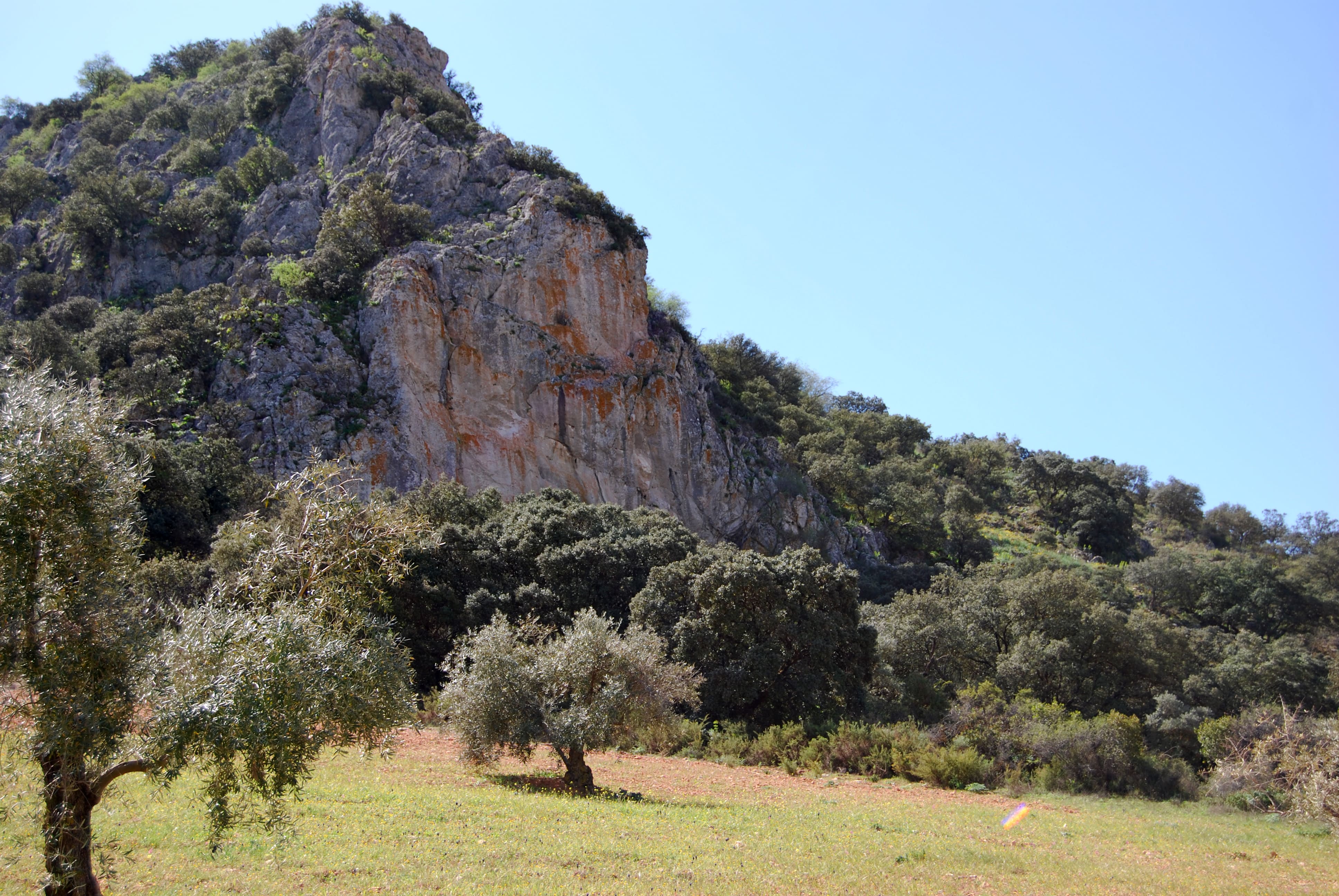 grajas-2-1